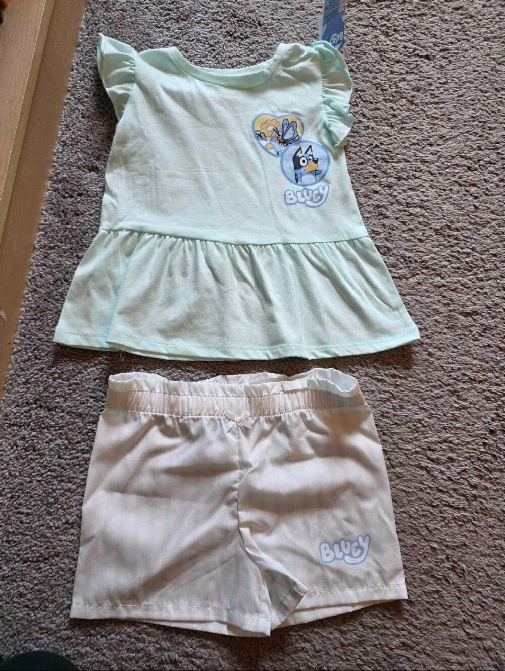 Bluey Outfit
